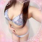 ヒメ日記 2025/04/12 20:02 投稿 あみ なでしこ(十三)