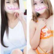 ヒメ日記 2025/09/20 17:27 投稿 あみ なでしこ(十三)