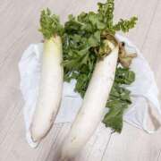 ヒメ日記 2025/12/16 15:24 投稿 あみ なでしこ(十三)