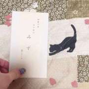 ヒメ日記 2026/02/04 14:07 投稿 あみ なでしこ(十三)