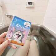 ヒメ日記 2026/02/19 11:54 投稿 あみ なでしこ(十三)