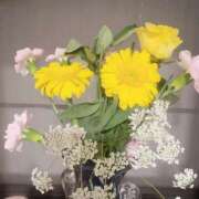 ヒメ日記 2026/04/03 16:16 投稿 あみ なでしこ(十三)