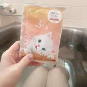 ヒメ日記 2026/04/08 12:11 投稿 あみ なでしこ(十三)