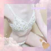 ヒメ日記 2025/08/25 12:24 投稿 めぐみ なでしこ(十三)