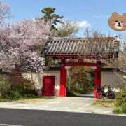 るり 🌸 ナチュラルプリンセス