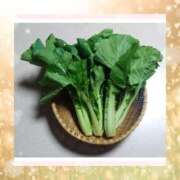 ヒメ日記 2025/01/07 01:56 投稿 ゆきの ギン妻パラダイス 和歌山店