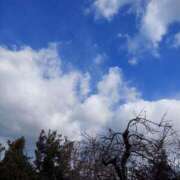 ヒメ日記 2025/02/08 11:00 投稿 ゆきの ギン妻パラダイス 和歌山店