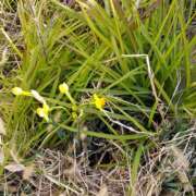 ヒメ日記 2025/02/10 10:32 投稿 ゆきの ギン妻パラダイス 和歌山店