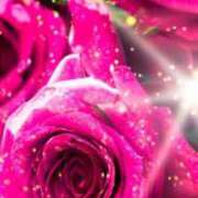 ヒメ日記 2025/03/16 01:09 投稿 ゆきの ギン妻パラダイス 和歌山店