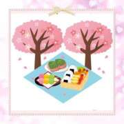 ヒメ日記 2025/03/31 00:54 投稿 ゆきの ギン妻パラダイス 和歌山店