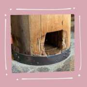 ヒメ日記 2025/04/09 01:17 投稿 ゆきの ギン妻パラダイス 和歌山店