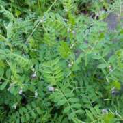 ヒメ日記 2025/04/19 09:09 投稿 ゆきの ギン妻パラダイス 和歌山店