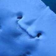 ヒメ日記 2025/05/27 01:42 投稿 ゆきの ギン妻パラダイス 和歌山店