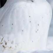 ヒメ日記 2025/05/31 01:27 投稿 ゆきの ギン妻パラダイス 和歌山店