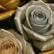 ヒメ日記 2025/06/09 01:31 投稿 ゆきの ギン妻パラダイス 和歌山店