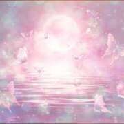 ヒメ日記 2025/08/17 01:21 投稿 ゆきの ギン妻パラダイス 和歌山店