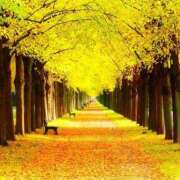 ヒメ日記 2025/10/24 01:05 投稿 ゆきの ギン妻パラダイス 和歌山店