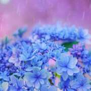 ヒメ日記 2025/11/03 01:51 投稿 ゆきの ギン妻パラダイス 和歌山店