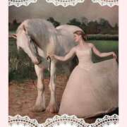 ヒメ日記 2025/11/09 00:48 投稿 ゆきの ギン妻パラダイス 和歌山店