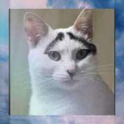 ヒメ日記 2025/11/25 00:17 投稿 ゆきの ギン妻パラダイス 和歌山店