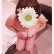 ゆきの いちゃコラ ギン妻パラダイス 和歌山店