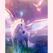 ヒメ日記 2025/12/28 01:31 投稿 ゆきの ギン妻パラダイス 和歌山店