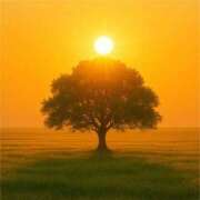 ヒメ日記 2026/01/11 00:38 投稿 ゆきの ギン妻パラダイス 和歌山店