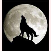 ゆきの レディースデー ギン妻パラダイス 和歌山店