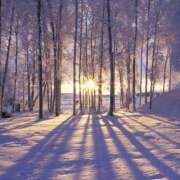 ヒメ日記 2026/02/08 13:17 投稿 ゆきの ギン妻パラダイス 和歌山店