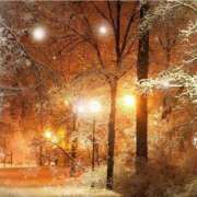 ヒメ日記 2026/02/20 02:17 投稿 ゆきの ギン妻パラダイス 和歌山店