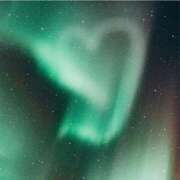 ヒメ日記 2026/03/15 01:28 投稿 ゆきの ギン妻パラダイス 和歌山店