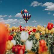 ヒメ日記 2026/03/27 01:59 投稿 ゆきの ギン妻パラダイス 和歌山店