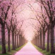 ヒメ日記 2026/03/29 02:06 投稿 ゆきの ギン妻パラダイス 和歌山店