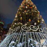 ヒメ日記 2024/12/25 18:01 投稿 ゆず【素敵スタイルのお姉さま】 Beppin house