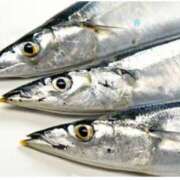 ヒメ日記 2025/01/18 11:58 投稿 ゆず【素敵スタイルのお姉さま】 Beppin house