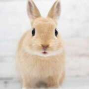 ヒメ日記 2025/02/17 07:31 投稿 ゆず【素敵スタイルのお姉さま】 Beppin house