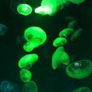 ヒメ日記 2025/03/16 13:20 投稿 ゆず【素敵スタイルのお姉さま】 Beppin house