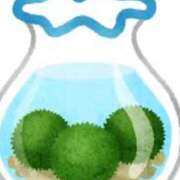 ヒメ日記 2025/03/29 15:22 投稿 ゆず【素敵スタイルのお姉さま】 Beppin house