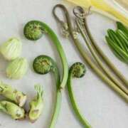 ヒメ日記 2025/03/31 10:50 投稿 ゆず【素敵スタイルのお姉さま】 Beppin house