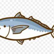 ヒメ日記 2025/05/24 15:12 投稿 ゆず【素敵スタイルのお姉さま】 Beppin house