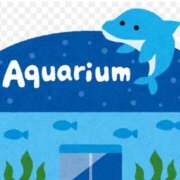 ヒメ日記 2025/08/21 12:20 投稿 ゆず【素敵スタイルのお姉さま】 Beppin house