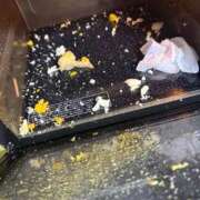 ヒメ日記 2025/09/19 09:04 投稿 ゆず【素敵スタイルのお姉さま】 Beppin house