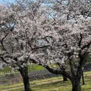 ヒメ日記 2026/04/02 18:40 投稿 ゆず【素敵スタイルのお姉さま】 Beppin house