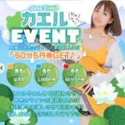 ヒメ日記 2026/06/12 10:50 投稿 ゆず【素敵スタイルのお姉さま】 Beppin house