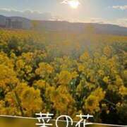 ヒメ日記 2026/01/30 11:35 投稿 石田まゆ 若奥サマンサ（横浜ハレ系）