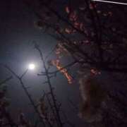 ヒメ日記 2026/03/12 13:52 投稿 石田まゆ 若奥サマンサ（横浜ハレ系）