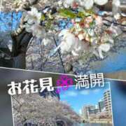 ヒメ日記 2026/04/03 15:55 投稿 石田まゆ 若奥サマンサ（横浜ハレ系）