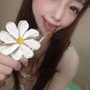 ヒメ日記 2025/02/04 14:37 投稿 櫻木梨乃(単体AV女優) プレイボーイ　アゲハ