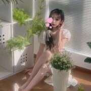 ヒメ日記 2025/02/22 10:03 投稿 櫻木梨乃(単体AV女優) プレイボーイ　アゲハ