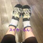 ヒメ日記 2024/12/21 18:05 投稿 らん スイカ